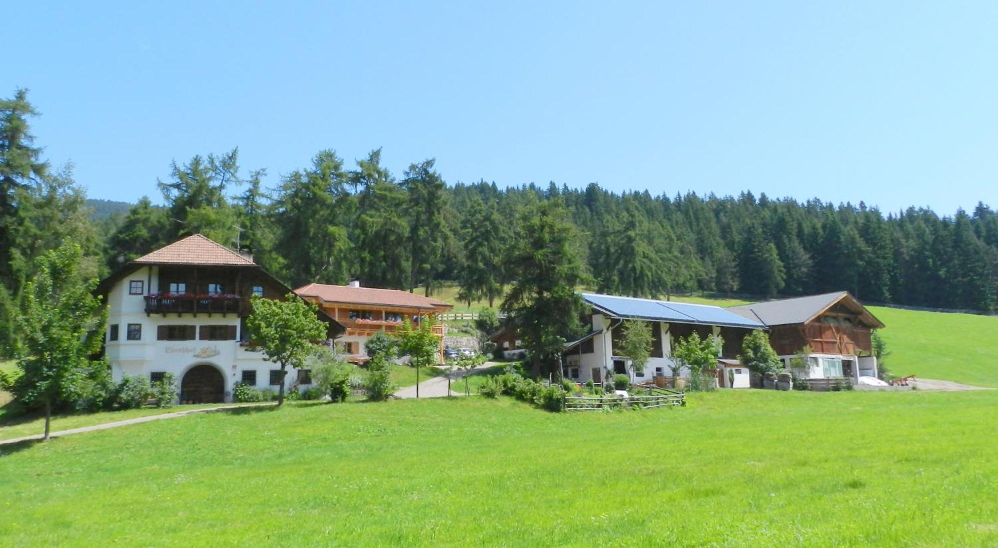Laerchhof Villa Collalbo Exterior photo