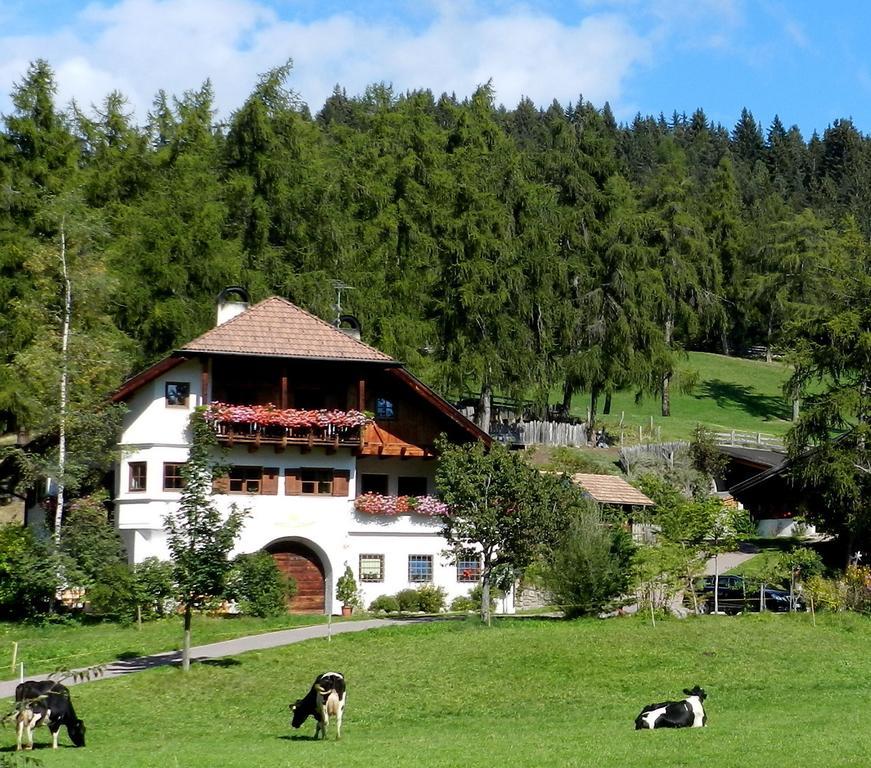 Laerchhof Villa Collalbo Exterior photo